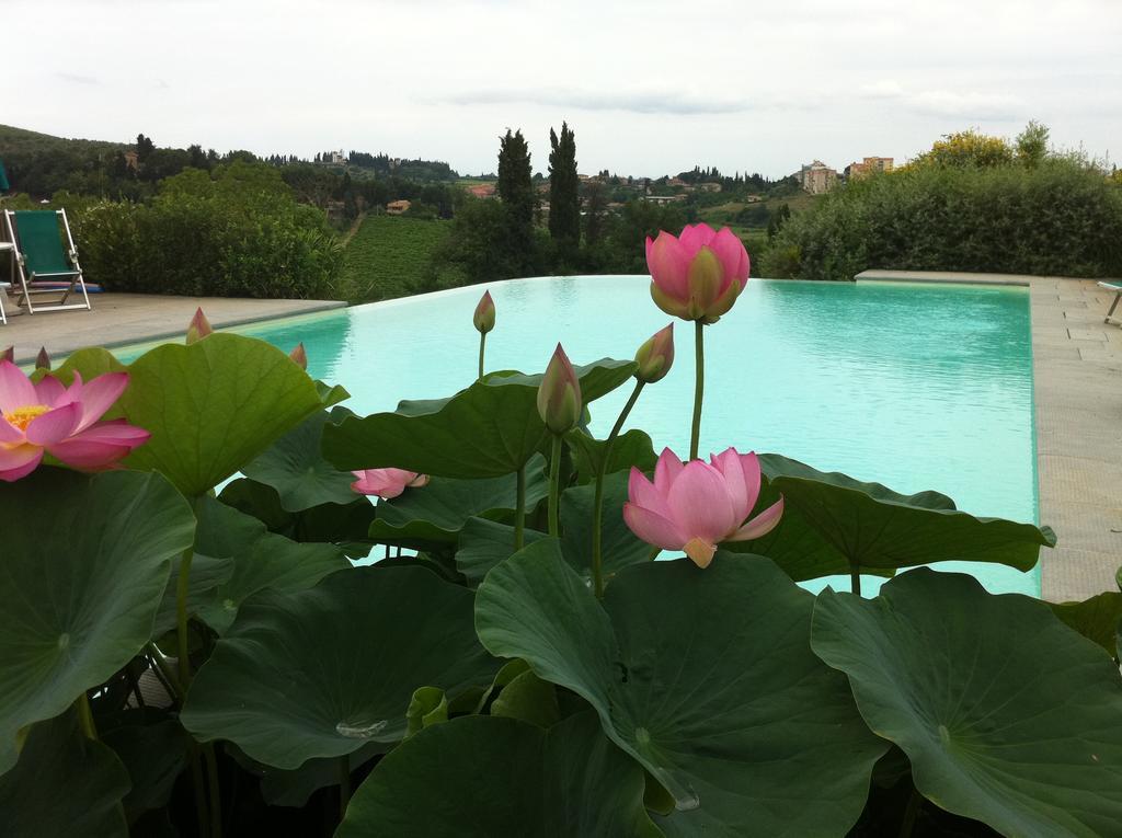 Agriturismo Raccianello Σαν Τζιμινιάνο Εξωτερικό φωτογραφία
