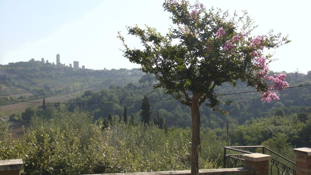 Agriturismo Raccianello Σαν Τζιμινιάνο Εξωτερικό φωτογραφία